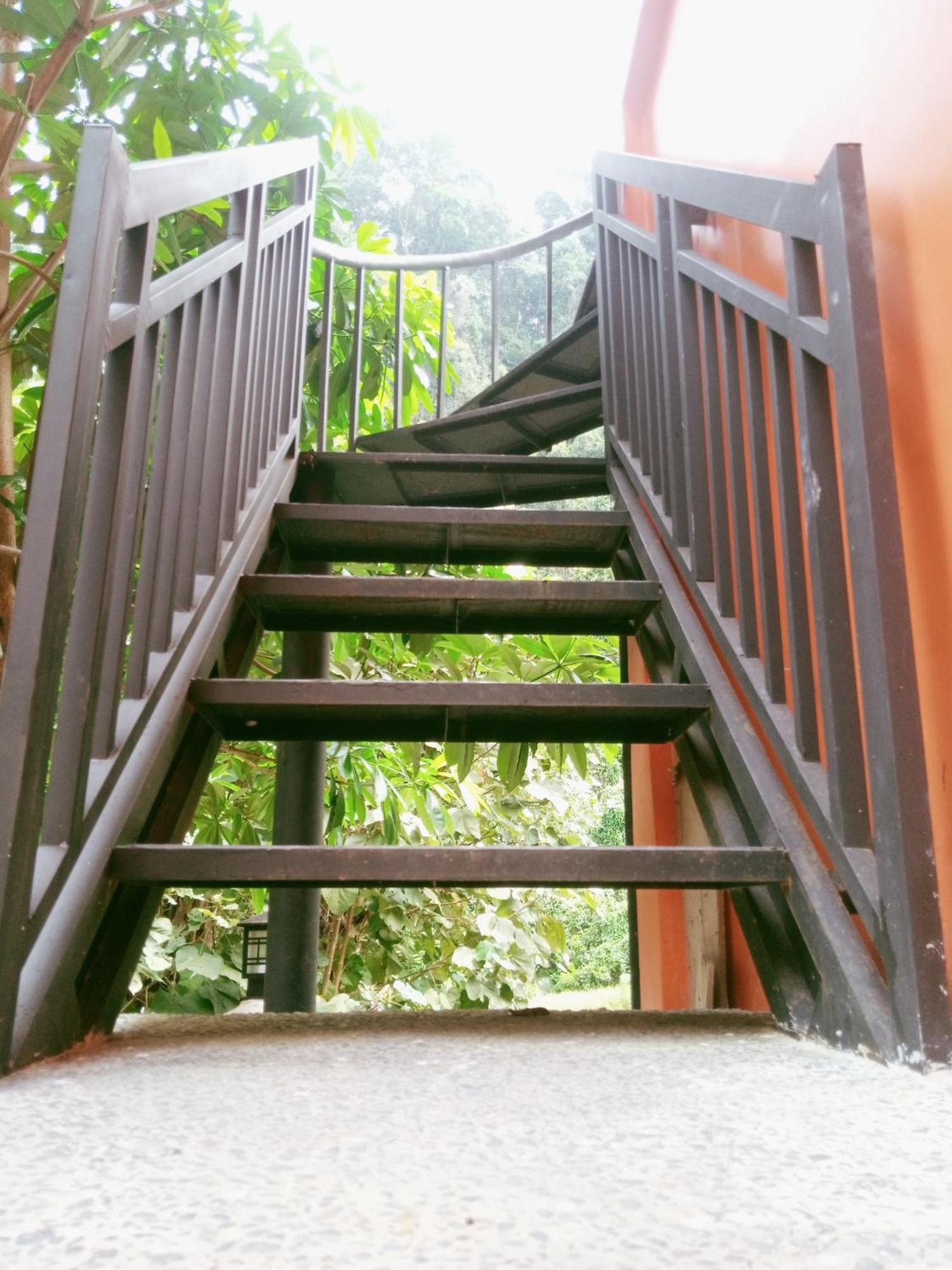 Ridho'S Homestay & Jungle Trekking Bukit Lawang Eksteriør billede