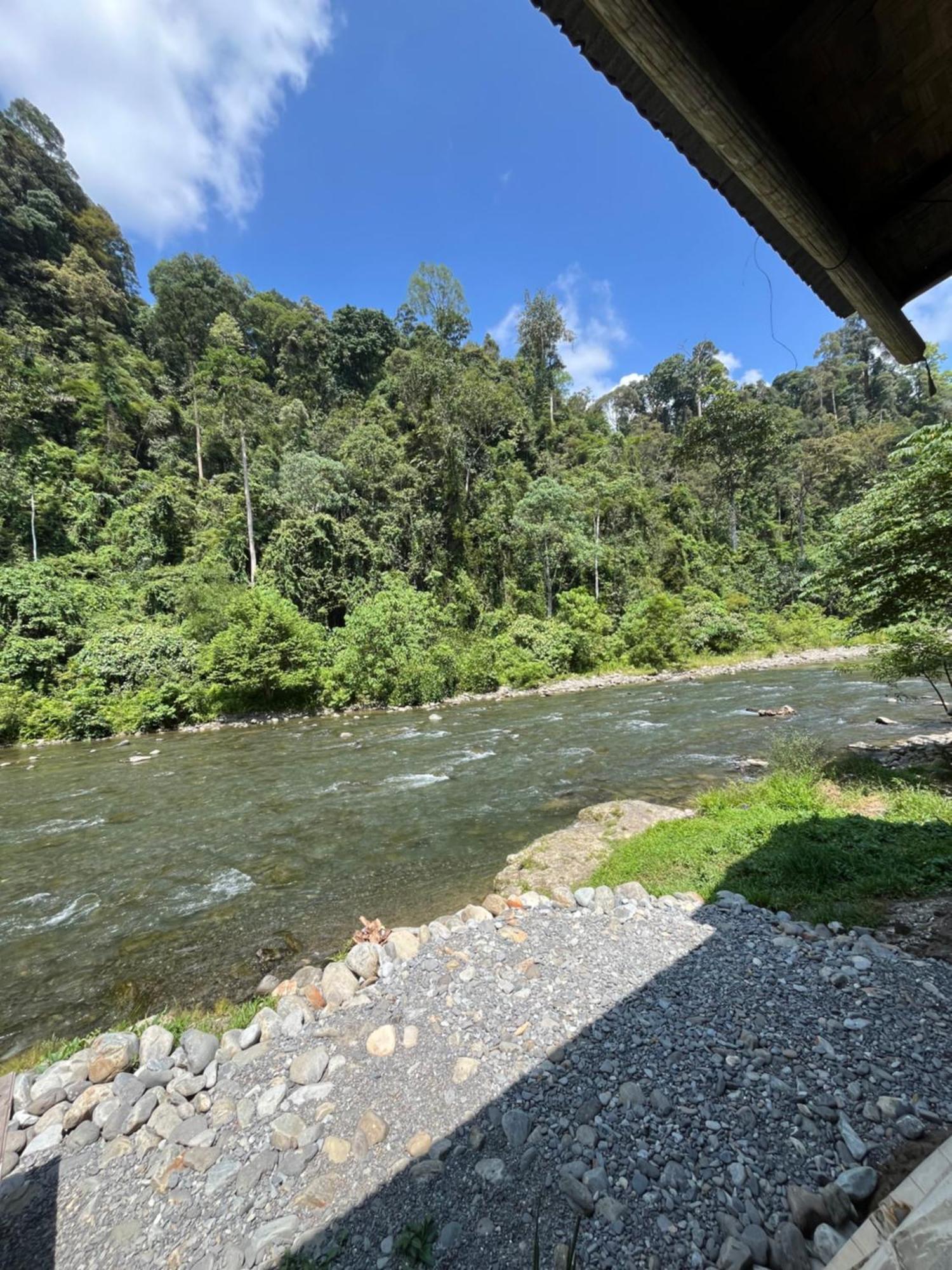 Ridho'S Homestay & Jungle Trekking Bukit Lawang Eksteriør billede